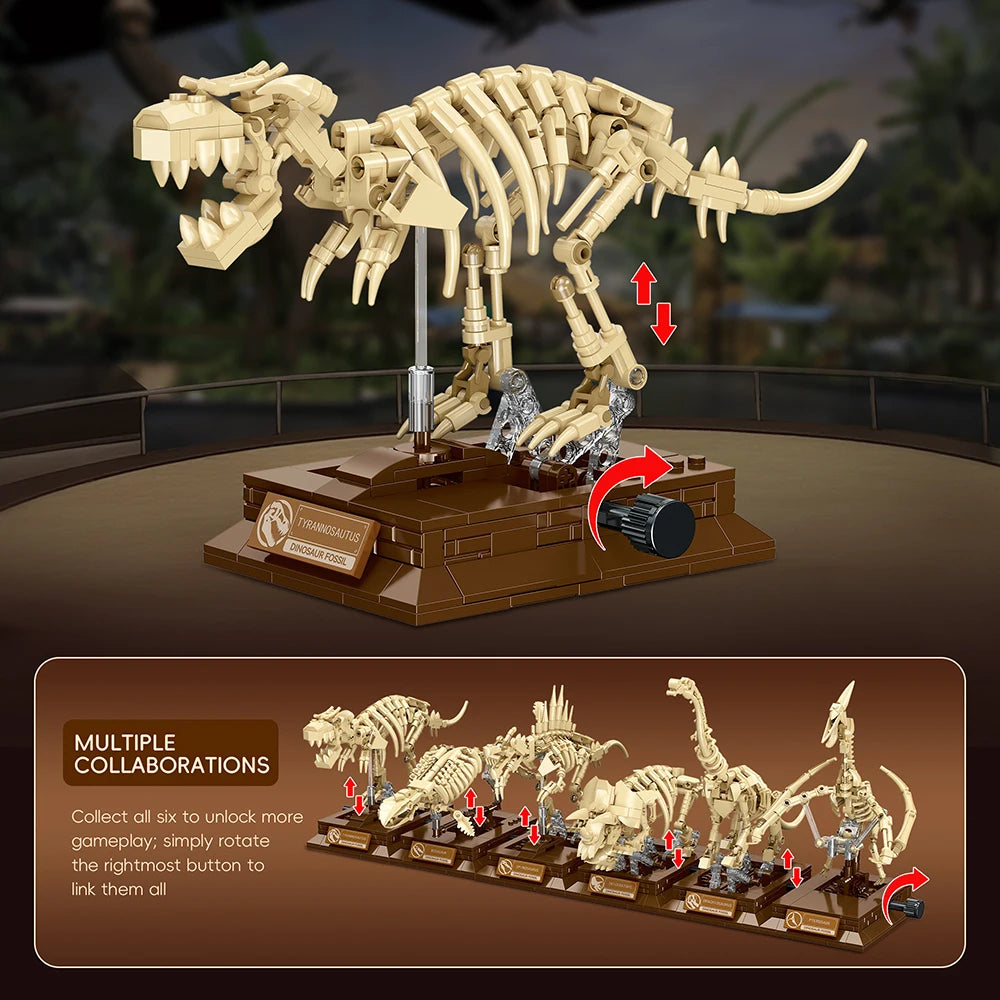 Fossil dinosaur collection 2