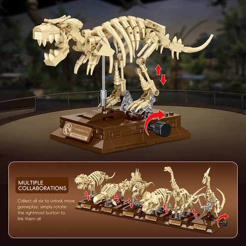 Fossil dinosaur collection 2