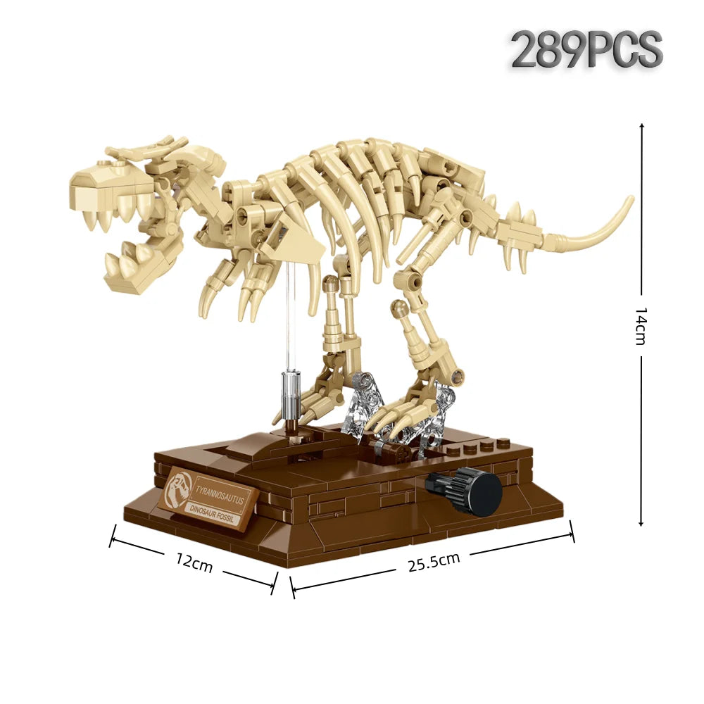 Fossil dinosaur collection 7