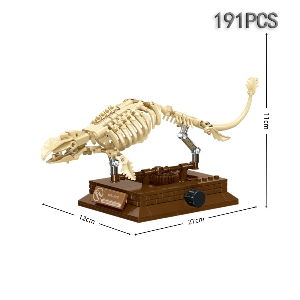 Fossil dinosaur collection 11
