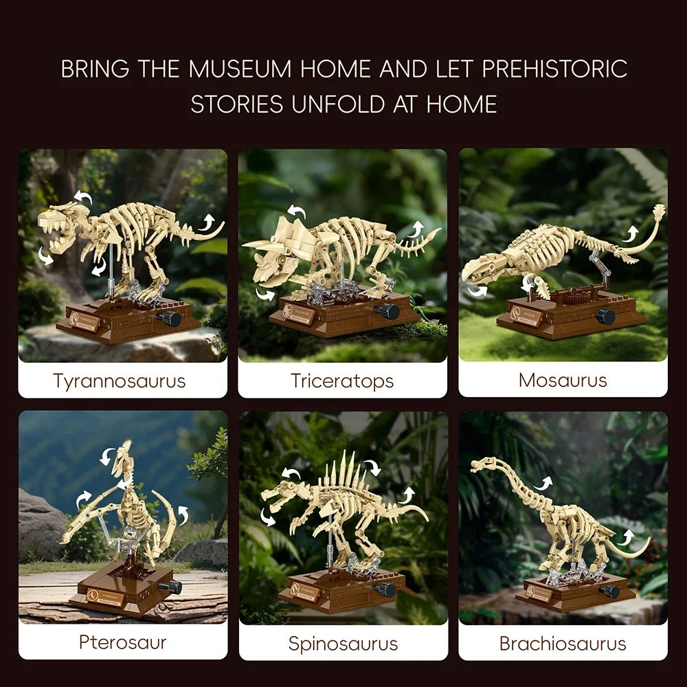 Fossil dinosaur collection 6