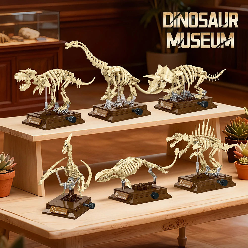 Fossil dinosaur collection 13
